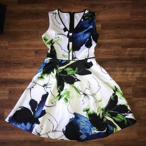 Figure Flattering Flared Floral Printed Dress (S)
